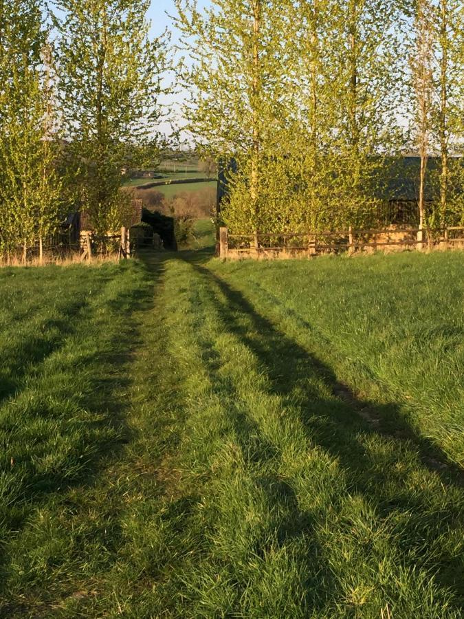 Valley View Farm, Batcombe Bed and Breakfast Shepton Mallet Εξωτερικό φωτογραφία